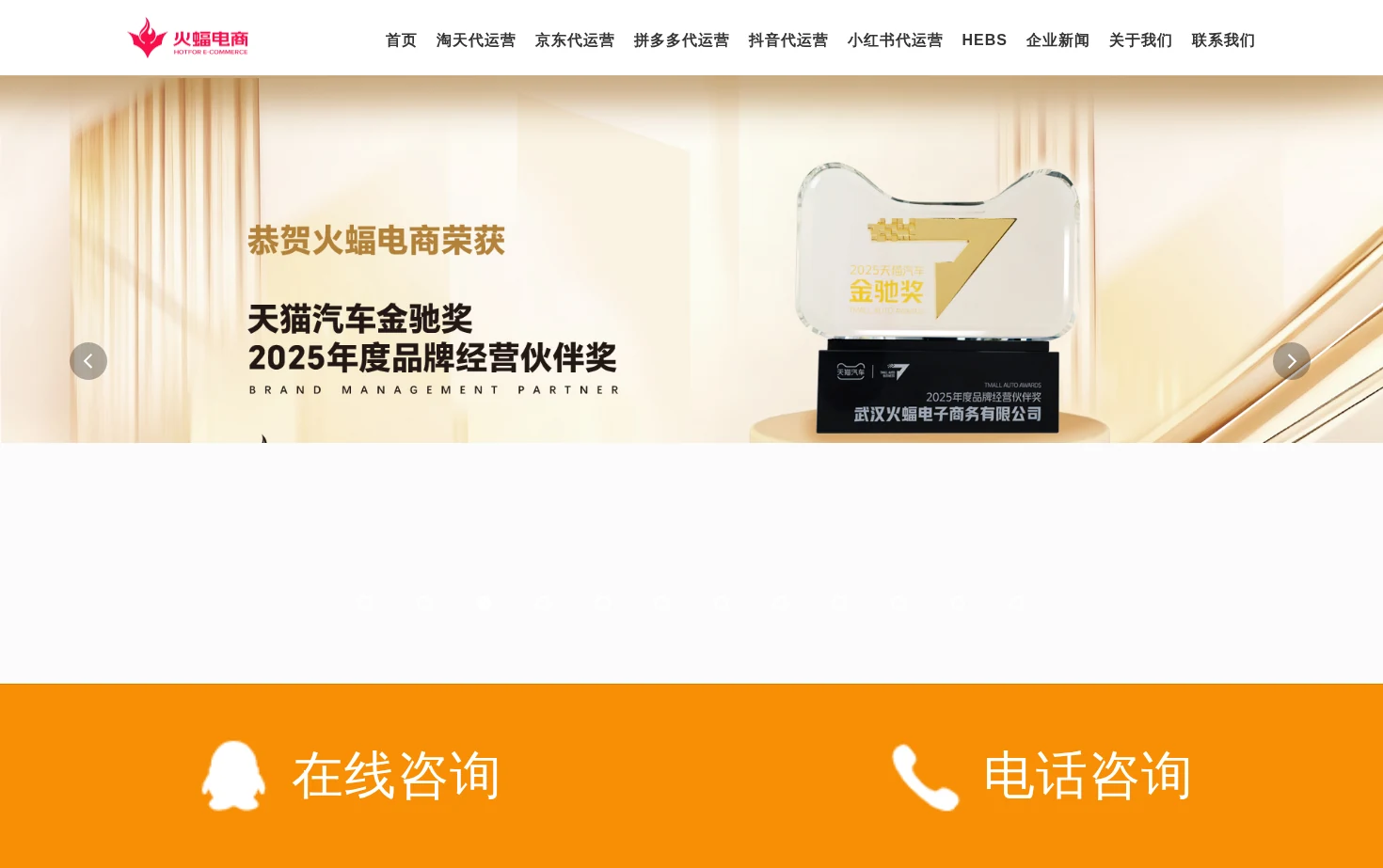 武汉火蝠电商 页面快照